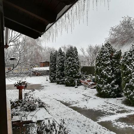 Holt-Tisza Vendeghaz Hotel Szeged Bagian luar foto