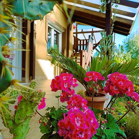 Holt-Tisza Vendeghaz Hotel Szeged Bagian luar foto