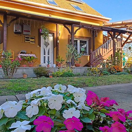 Holt-Tisza Vendeghaz Hotel Szeged Bagian luar foto