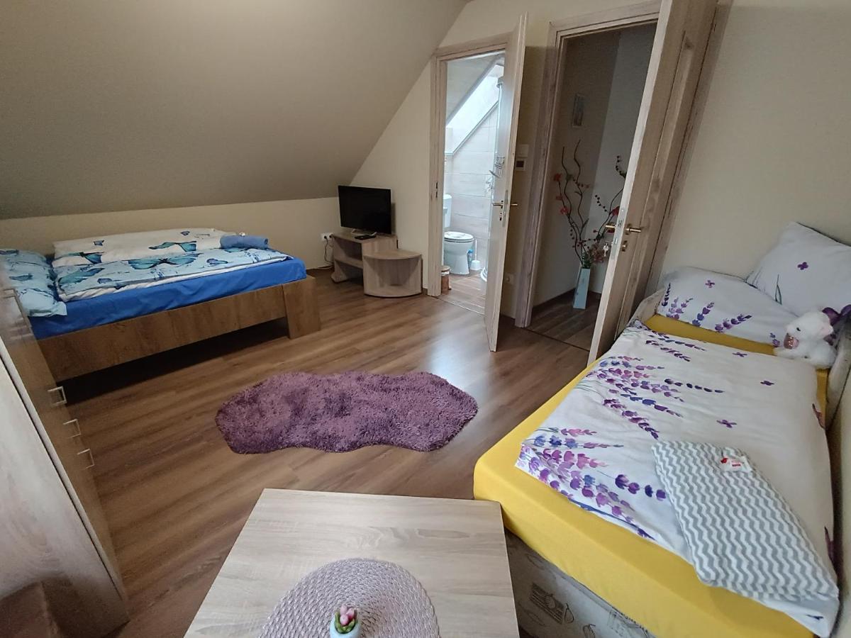 Holt-Tisza Vendeghaz Hotel Szeged Bagian luar foto