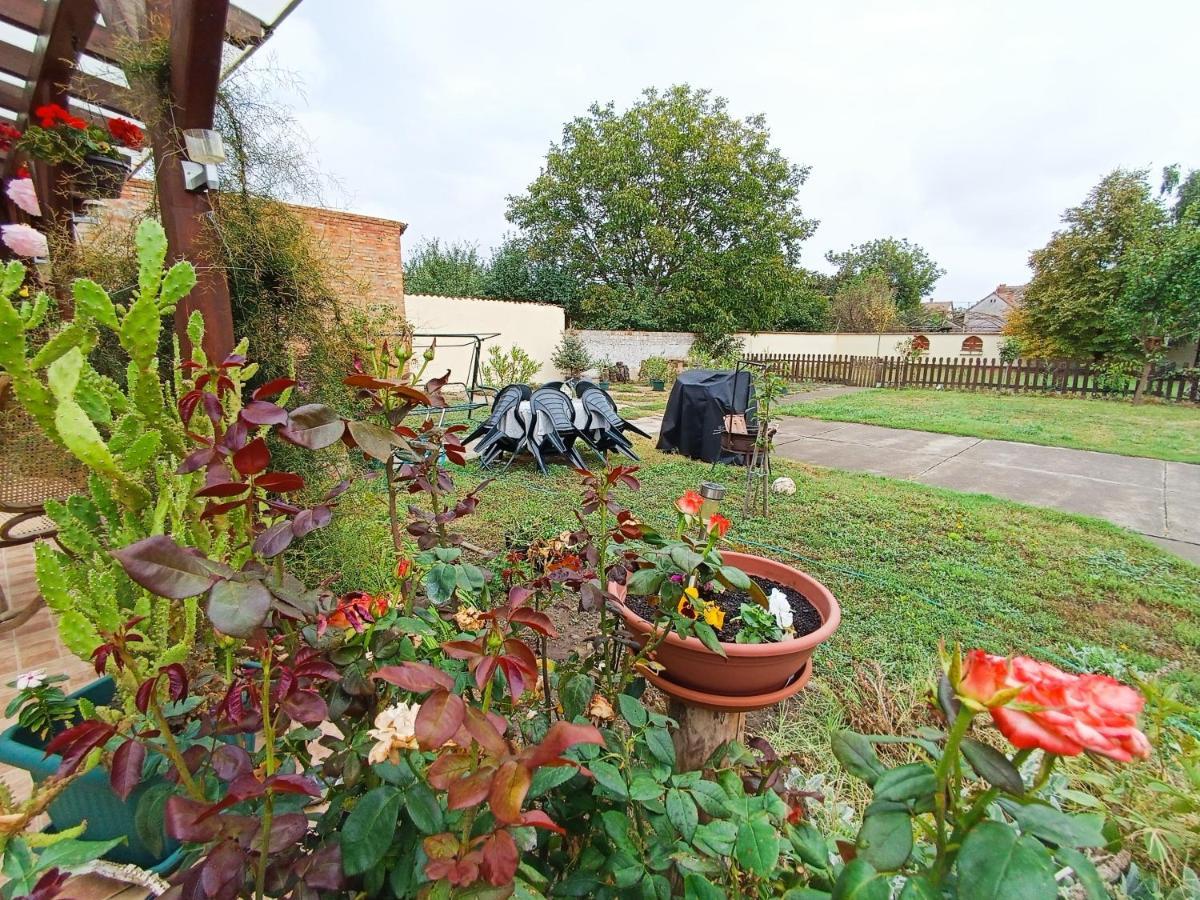 Holt-Tisza Vendeghaz Hotel Szeged Bagian luar foto