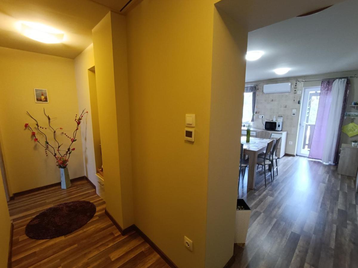 Holt-Tisza Vendeghaz Hotel Szeged Bagian luar foto