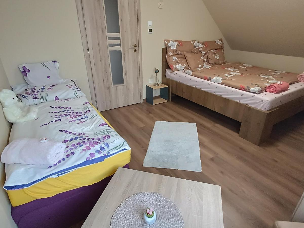 Holt-Tisza Vendeghaz Hotel Szeged Bagian luar foto