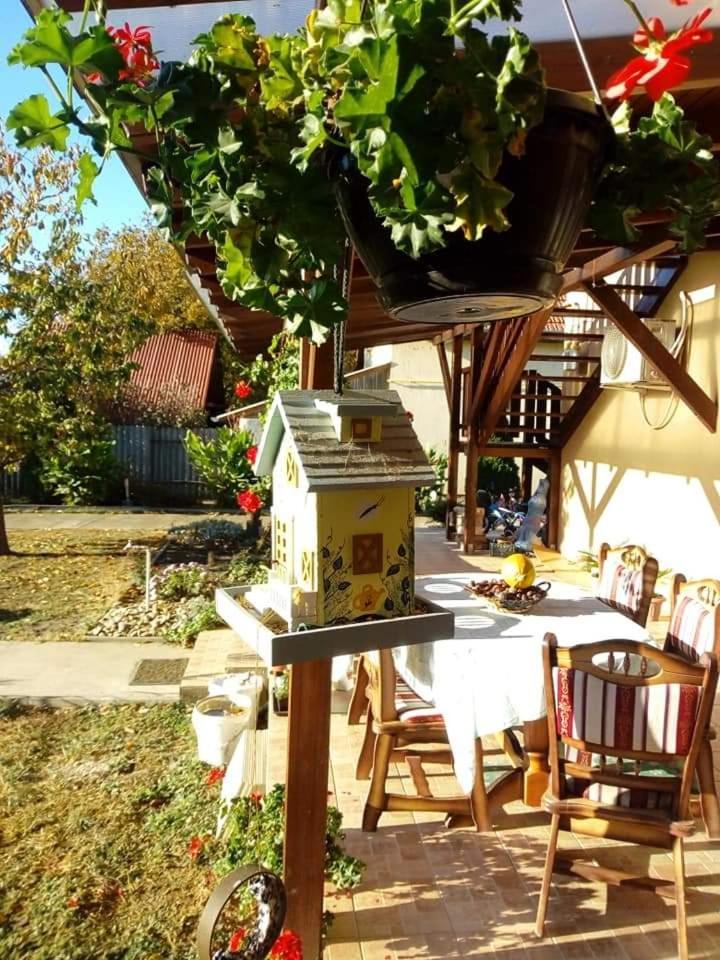 Holt-Tisza Vendeghaz Hotel Szeged Bagian luar foto