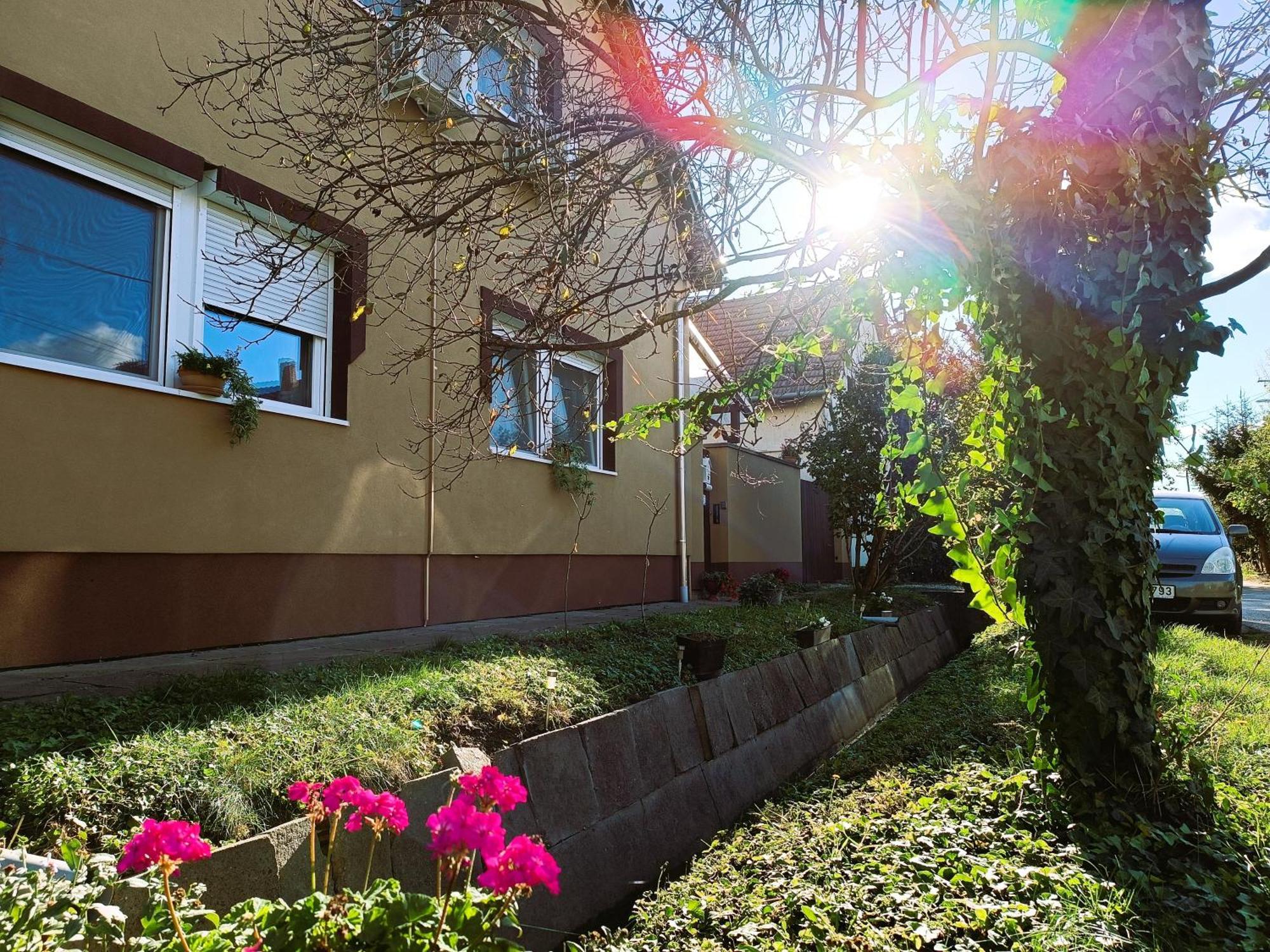 Holt-Tisza Vendeghaz Hotel Szeged Bagian luar foto