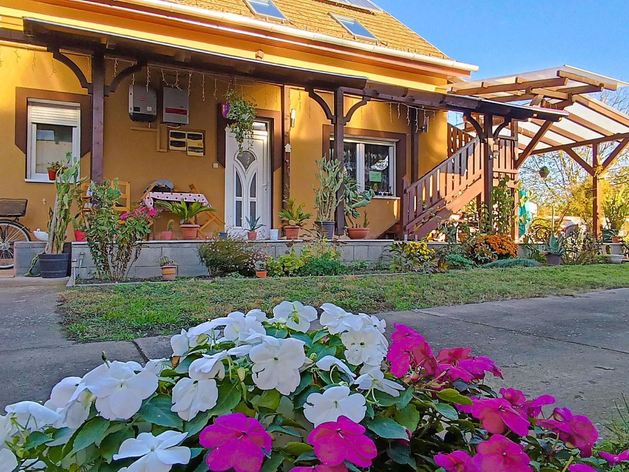 Holt-Tisza Vendeghaz Hotel Szeged Bagian luar foto