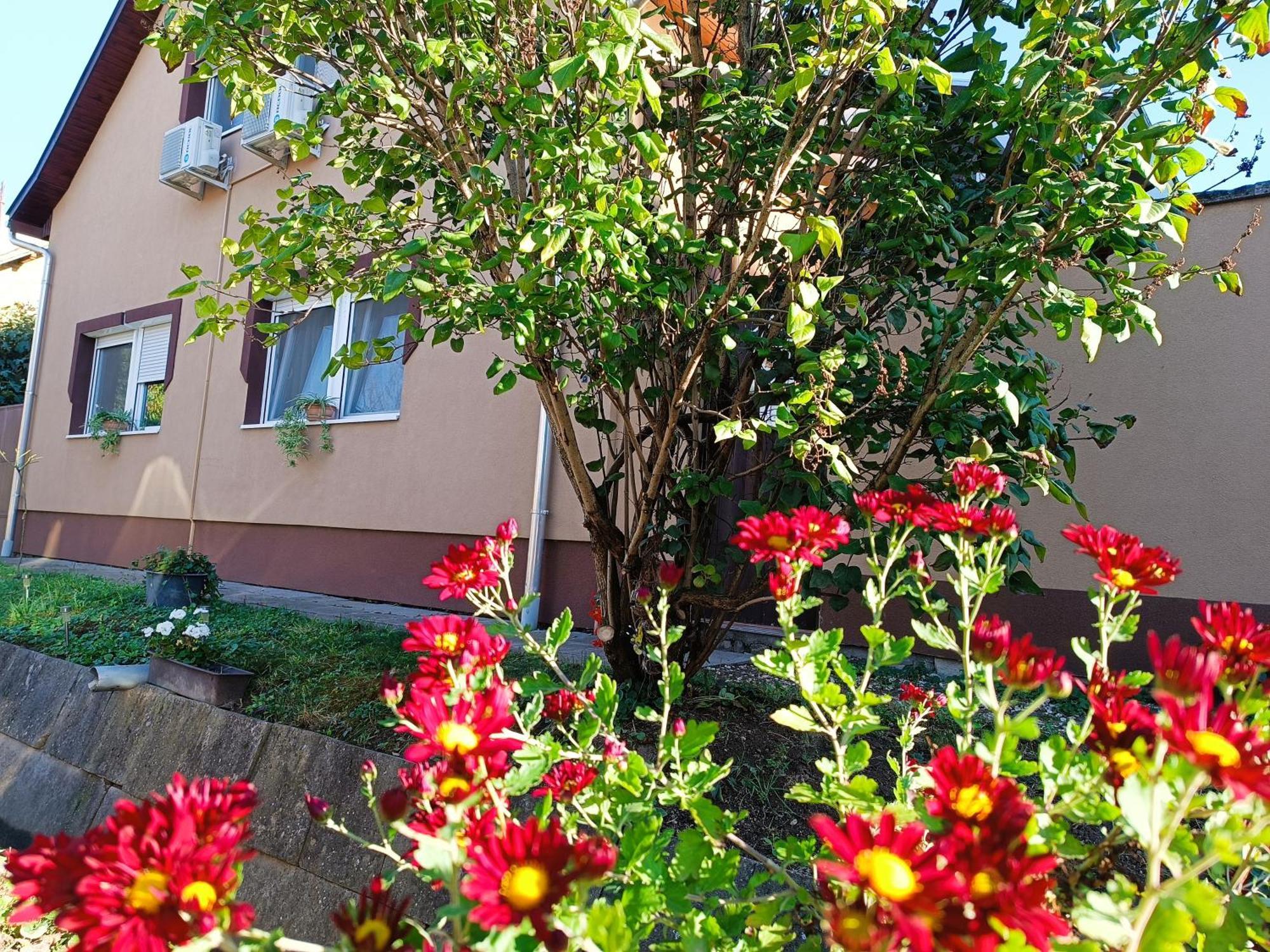 Holt-Tisza Vendeghaz Hotel Szeged Bagian luar foto